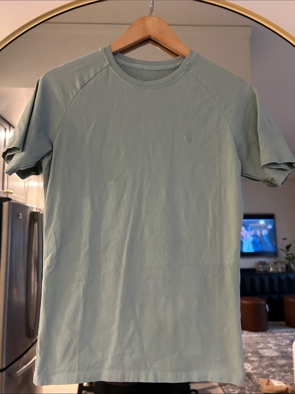 Men's Sage Green Short-Sleeve Crew Neck T-Shirt by